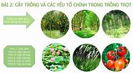 Bài 10 Công Nghệ 7 Kết Nối Tri Thức Violet