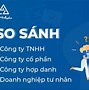 Các Loại Hình Doanh Nghiệp Tại Việt Nam