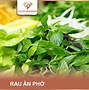 Các Loại Rau Thơm Việt Nam