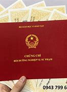 Học Sư Phạm Tiếng Anh Có Tốt Không Voz Vn 2024 Pdf Download