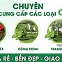 Nhà Vườn Chuyển Bán Cây Me Cảnh