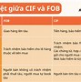 Nhập Khẩu Fob Là Gì