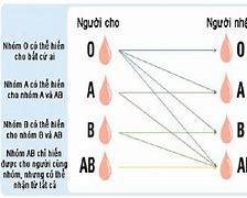 Nhóm Máu Nào Hiếm Nhất