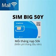 Sim Mạng Vinaphone 50K 1 Tháng