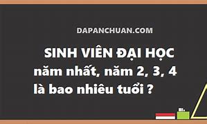 Sinh Viên Năm 2 Năm Nay Bao Nhiêu Tuổi