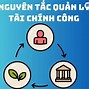 Tài Chính Công Là Gì