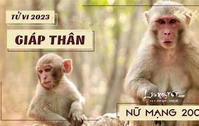 Tử Vi Tuổi Thân 2004 Nữ Mạng Năm 2023